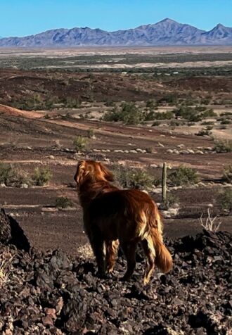 Abby and I to the top of a view point