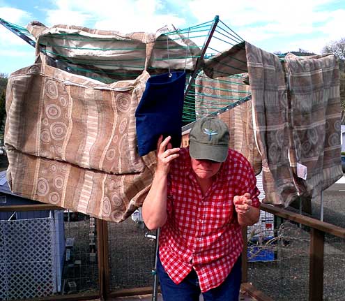 Gwen is dodging the cushion covers as they dry after washing