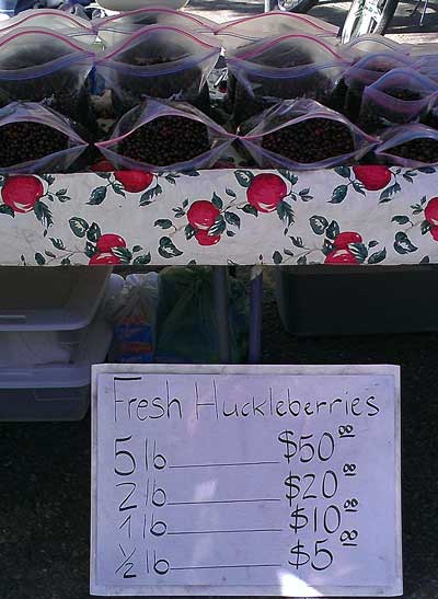 Huckleberries are in season