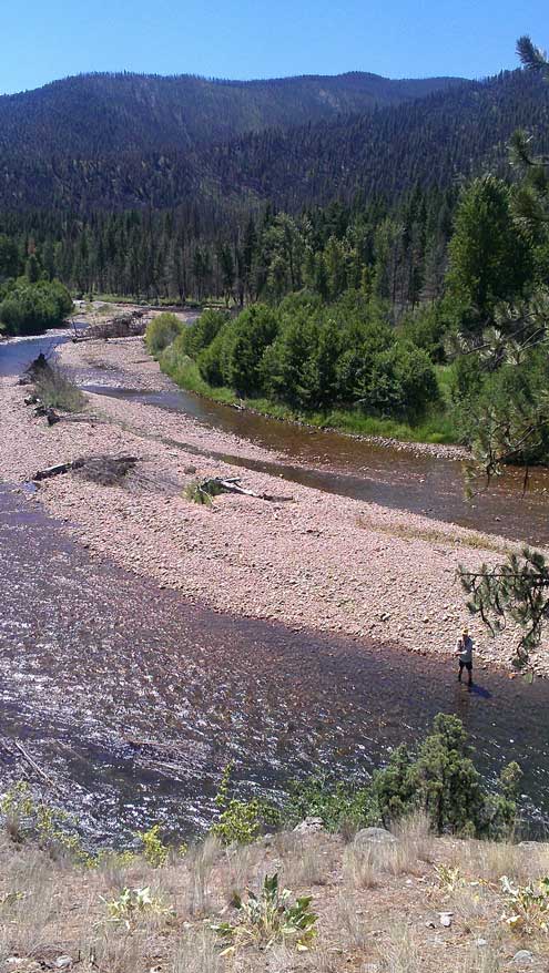 Flyfishing on Rock Creek