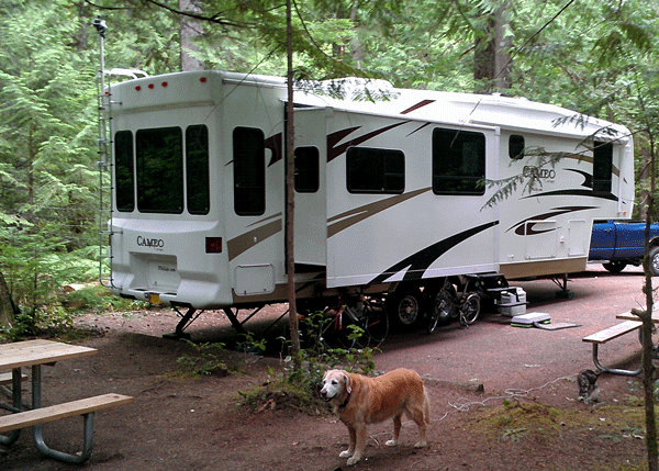 Newhalem Creek campground in the North Cascades National Park