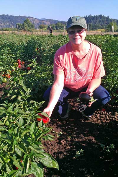 Gwen finds eggplant and red peppers