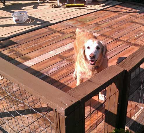 Morgan tests the deck boards after they were flipped