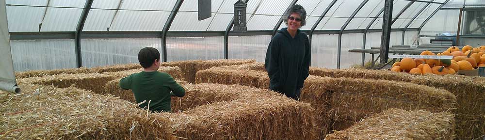 Lost in the hay bale maze