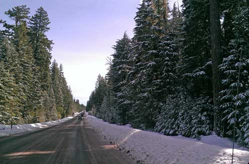 Finding snow at the higher elevations in the Cascades