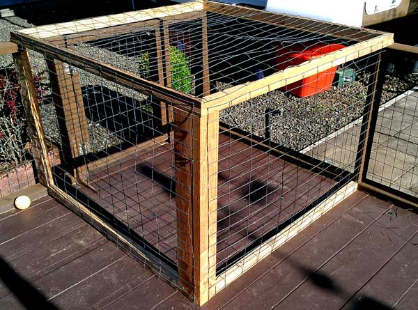 A cat cage on the deck