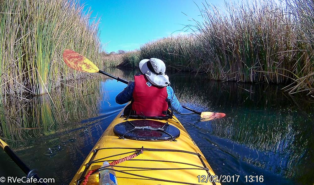 Paddling the Bill Williams National Wildlife Area