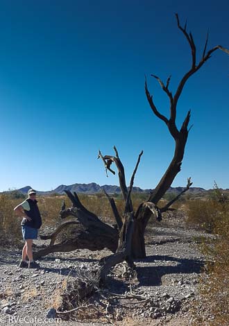 A hike in the desert