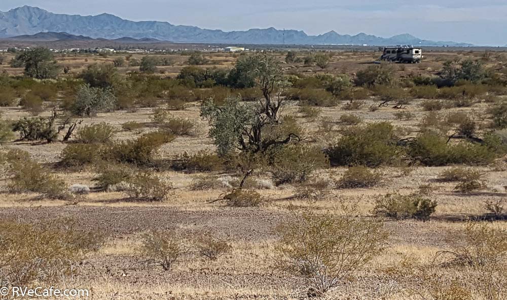 Returning from our desert hike