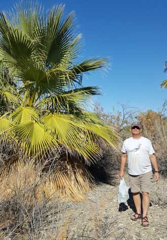 Gwen wanted a photo of the palm tree