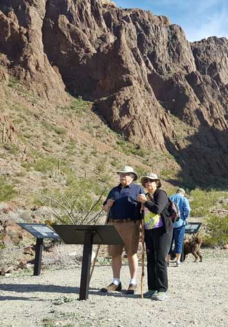 Planning a hike into Palm Canyon