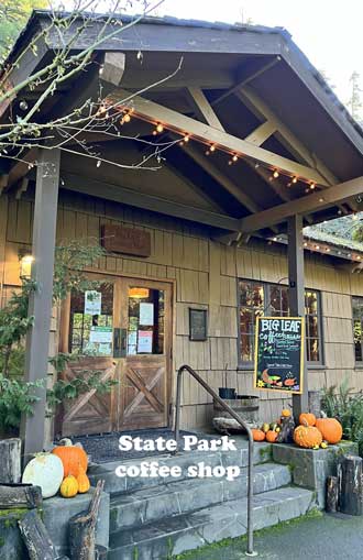 Silver Falls Coffee Shop