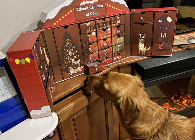 Advent Calendar for Abby