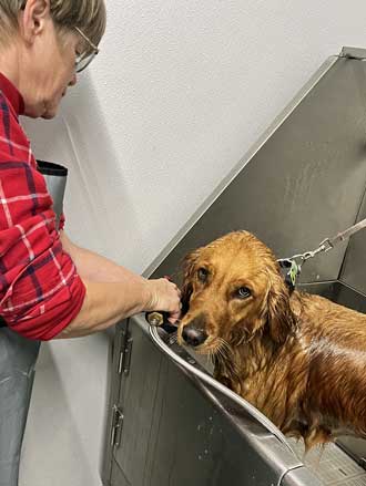 Abby gets a bath