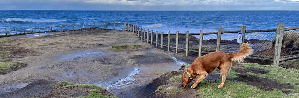 Boiler Bay Oregon