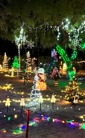 One man's idea of Christmas decorations