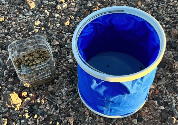 Water and dog food for a special visitor