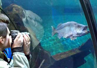 Posing for a photo in the Passage of the Deep