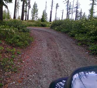 In search of dispersed camping on forest service roads