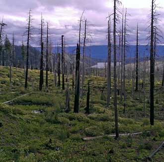 A distant view of Suttle Lake