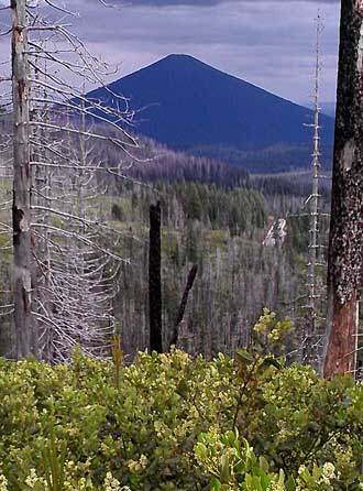 Black Butte from Santiam Pass, Behind: The Black Butte Trailhead, I wasn't the ONLY one with the idea of hiking to the summit.