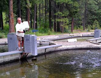 Feeding the fish at the hatchery, Behind: An overview of the ponds at the hatchery