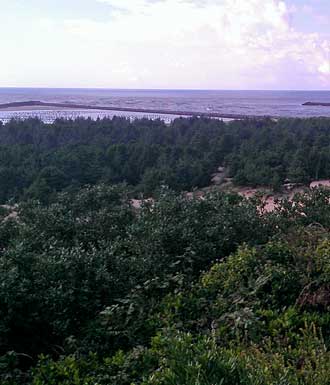 Mouth of the Umpqua River between the jety taken from the Umpqua River Lighthouse, Behind: The great sand dunes south of Winchester Bay