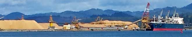 Roseburg Chip exporting facility at North Bend, Behind: Working Coos Bay boat