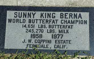 Exploring the Humbolt County Fairground where we are camped, found grave stone for 3 champion cows, Behind: Wider view