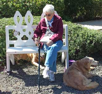 Mom is dog sitting Morgan and Amica at the Mendoncino Art Center, Behind: The lodging location for Mom and sister Dorana