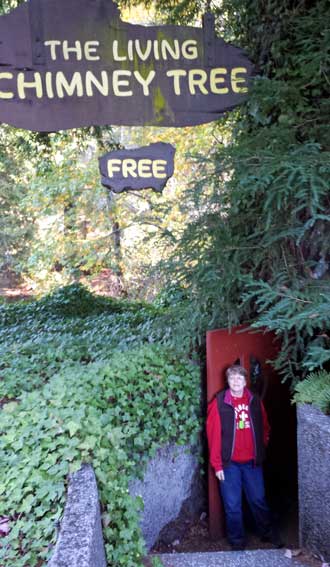 Doing the tourist thing (free) on the Avenue of the Giants, Behind: a redwood woodworker in Miranda, California