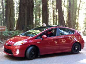 Driving through a Redwood grove, Behind: Redwoods are 300 feet tall. 