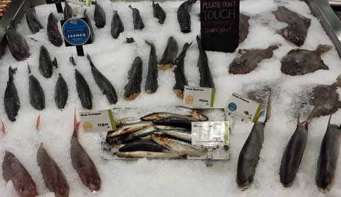 Fish ready for sale at Whole Foods, Reno, Behind: The buffet tables