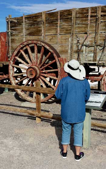 Gwen investigates the heavy borax wagons, Behind: Wagons carried as much as 30 tons, largest wheel is 7 feet tall.