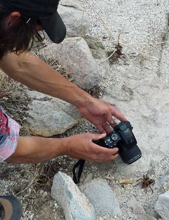 Eric finds life in the desert, Behind: Great close-up view.