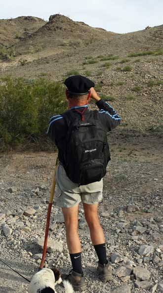 Hawk finds a mountain goat in the distance, Behind: Enlarged view, you can see the goat on the top of the mountain tip