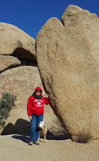 At the Jumbo Rocks Campground, Behind: a panorama of the campground