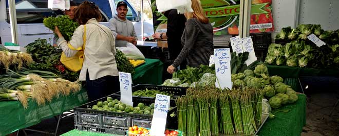 Joshua Tree Farmers Market, Behind: an overview of the farmer's market booths