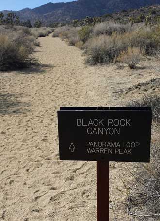 Off to the Panorama Loop, Behind: Sandy hiking