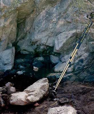 Water from a spring, Behind: Beautiful Joshua Tree