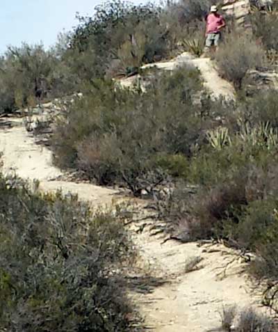 A short hike with Gwen and Morgan behnd the park