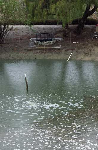 One of the many ponds before the rain