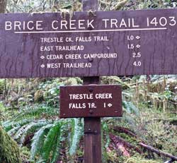 Need directions? , Behind: another panorama of Trestle Falls