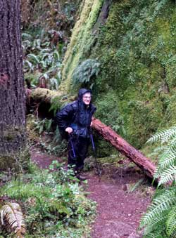 Our hike leader Rick in rain gear after it began raining, Behind: footbridge over Brice Creek