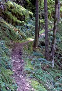 The trail continues, Behind: creek crossing