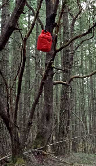 My food in hanging from a tree limb, Behind: After considerable work, the hammock is hung.