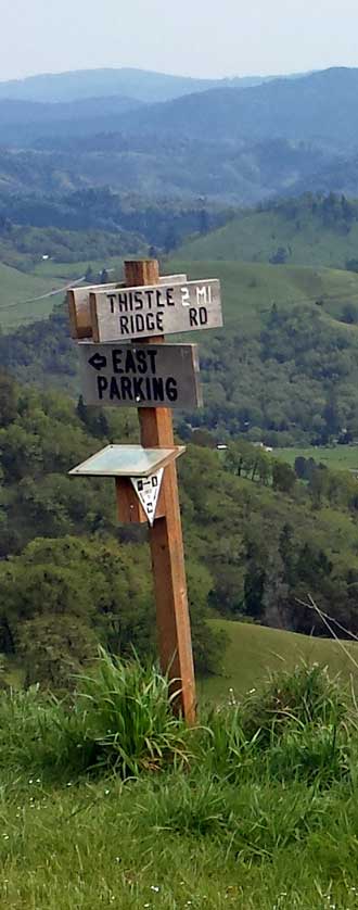 Here is the trail junction is was looking for, Behind: a wider view, North Umpqua River in the distance