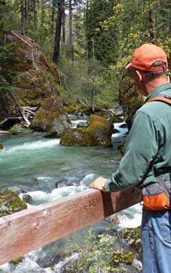 Crossing Boulder Creek, Behind, a fork in the trail