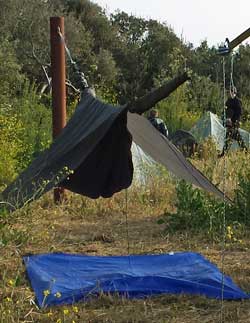 My hammock at the Lost Coast trailhead, behind: wider view of our campsite