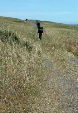 Hiking through Spanish flat, Behind: a lunch break